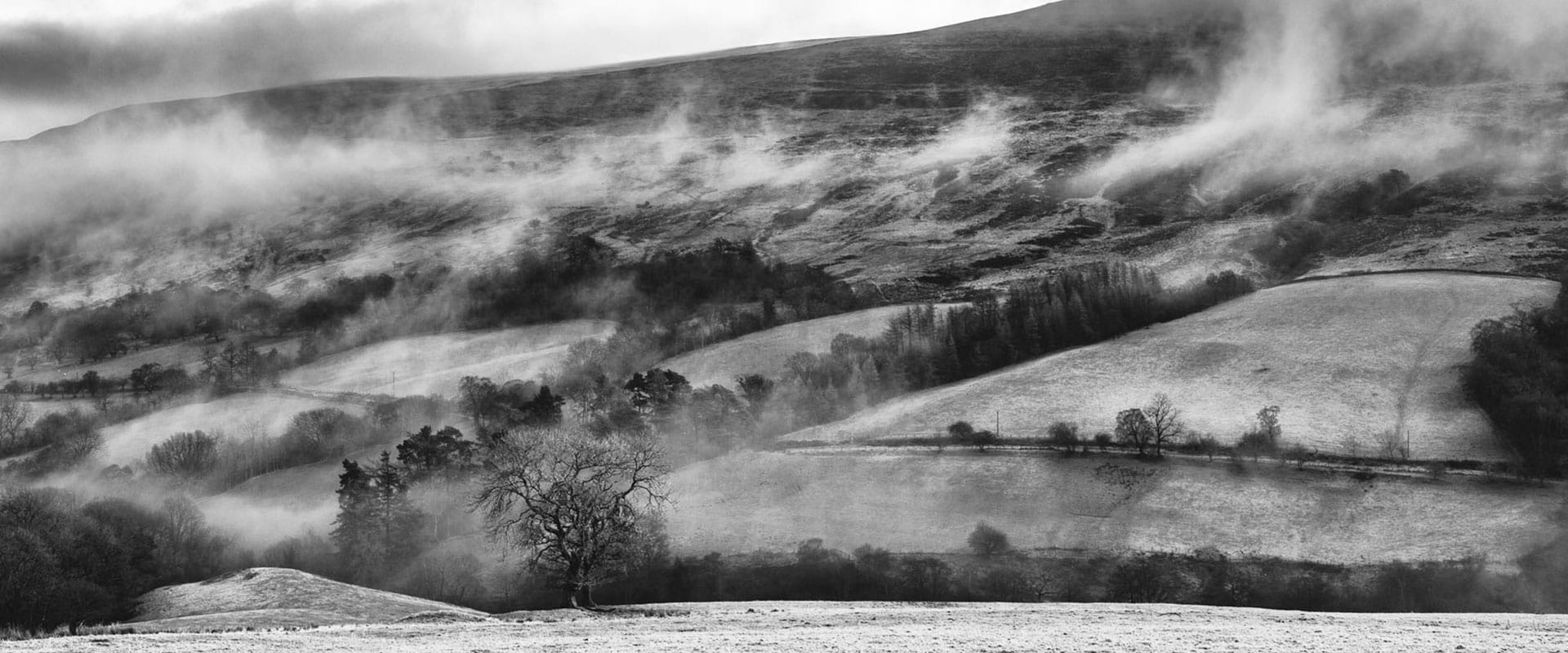 Collier's Powerful Cheddar